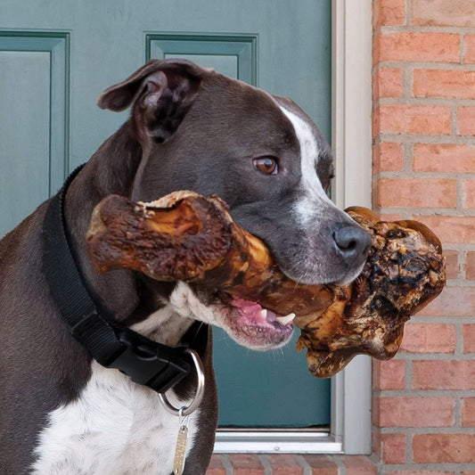 Best Large Dog Bones for Big Breeds