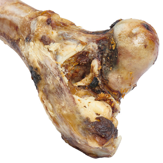 Big Dog Bone - Grass-Fed Beef Femur Bone for Large Dogs