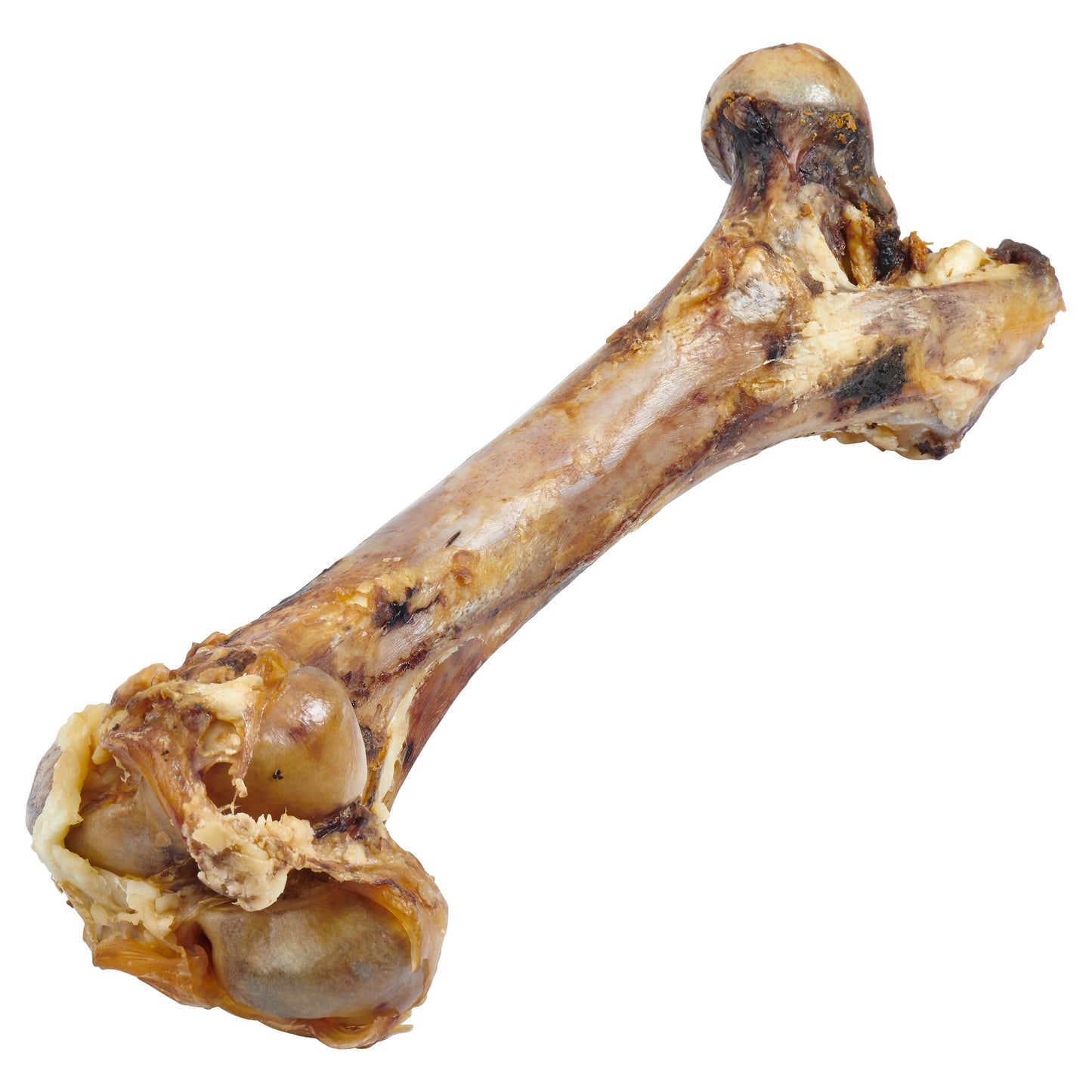 Big Dog Bone - Grass-Fed Beef Femur Bone for Large Dogs