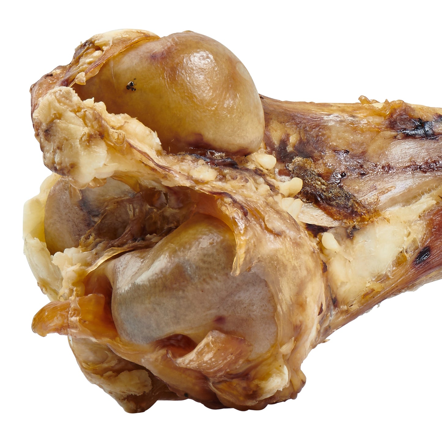 Big Dog Bone - Grass-Fed Beef Femur Bone for Large Dogs