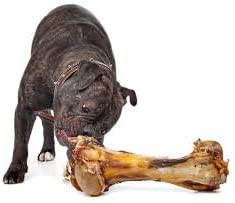 Big Dog Bone - Grass-Fed Beef Femur Bone for Large Dogs