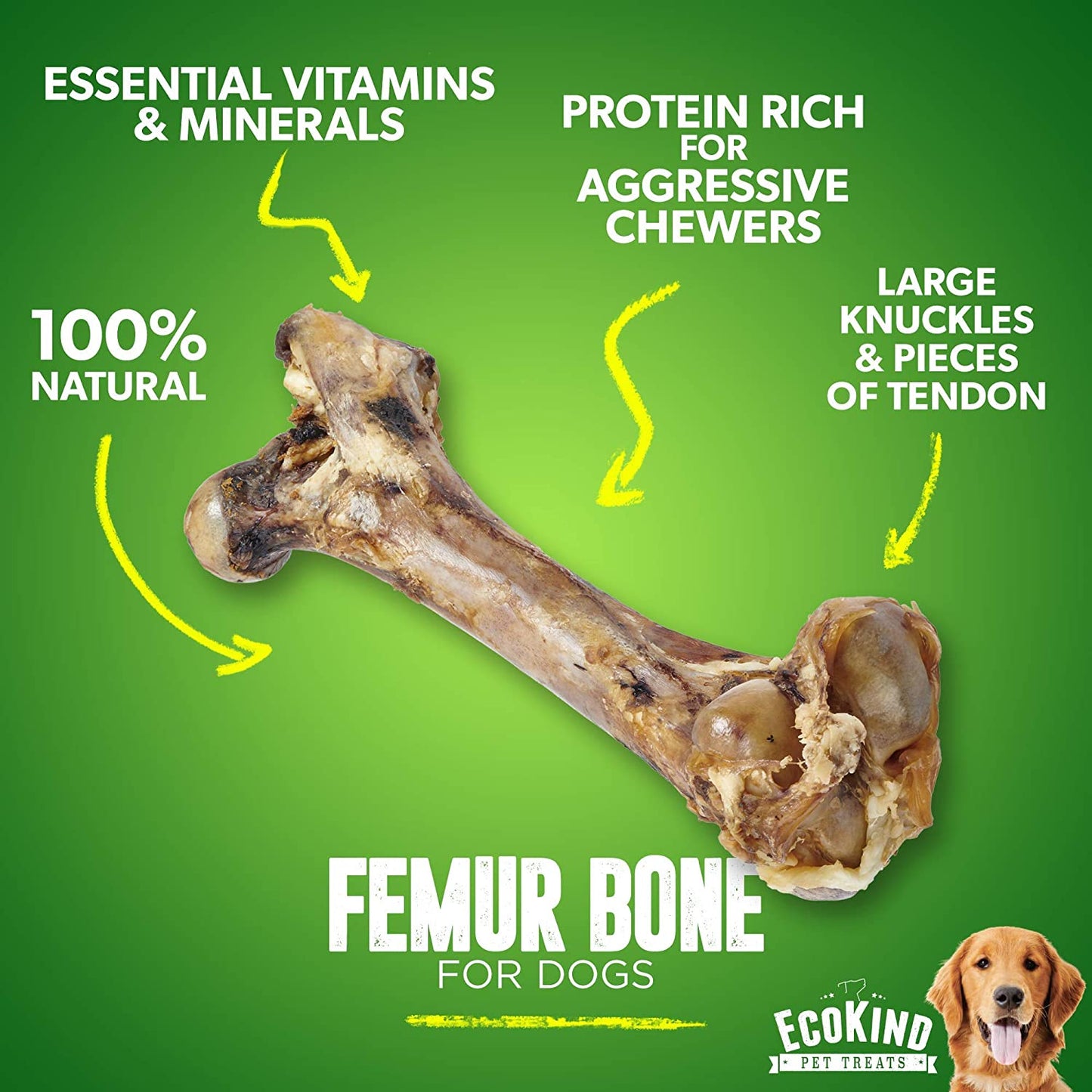 Big Dog Bone - Grass-Fed Beef Femur Bone for Large Dogs